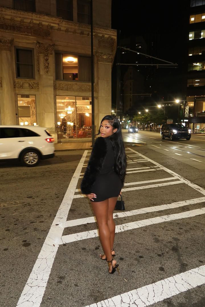 MSCW Fur Sleeve Mini Dress